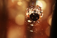 クリスタルてんとう虫