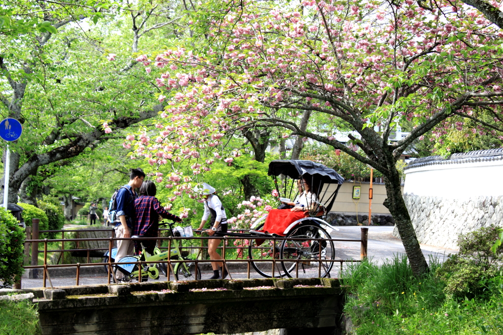 京の都