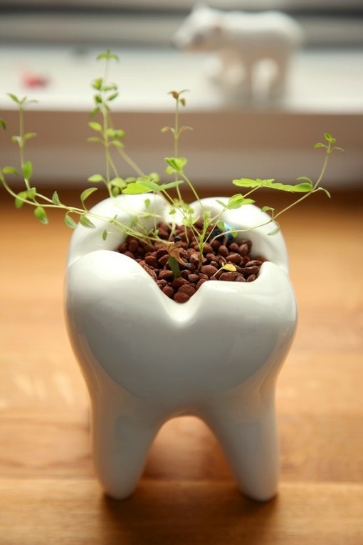 20120427162626_KAcKW_thumb_700_0