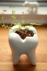 20120427162626_KAcKW_thumb_700_0