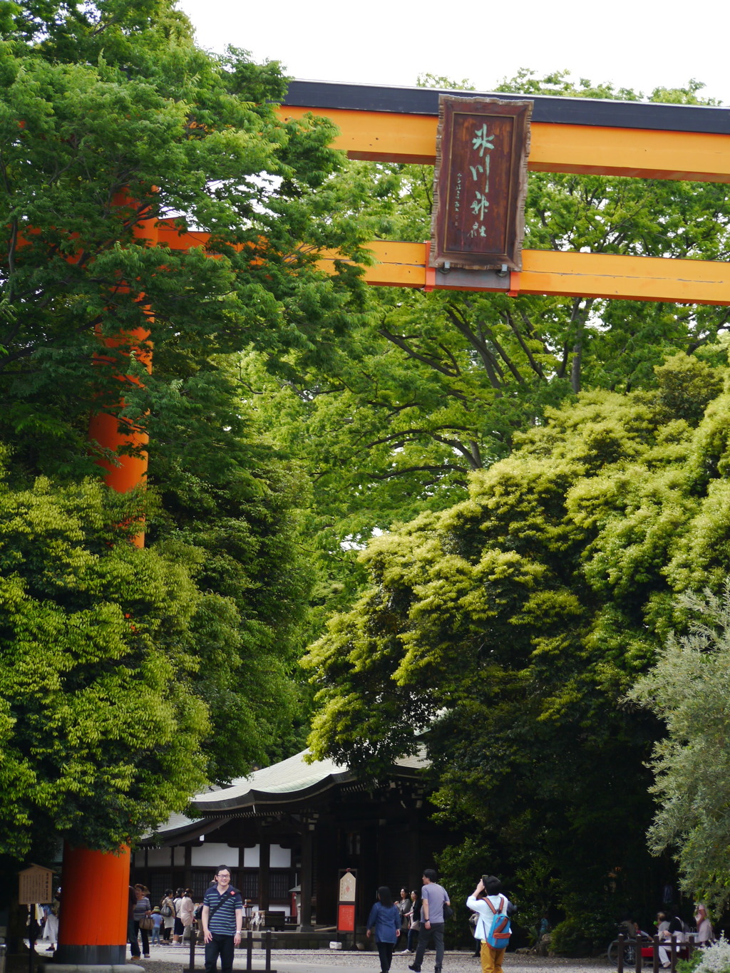 川越氷川神社1