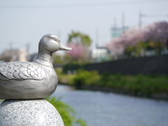 背景ボケの練習