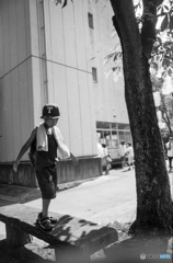 夏の公園