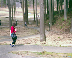 ぐねぐね道
