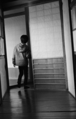 障子
