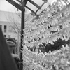 願