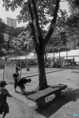 夏の公園