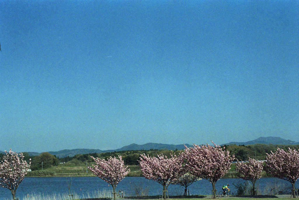 サイクリング日和