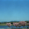 サイクリング日和