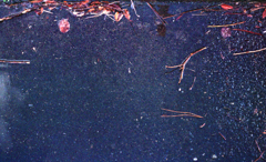 雨