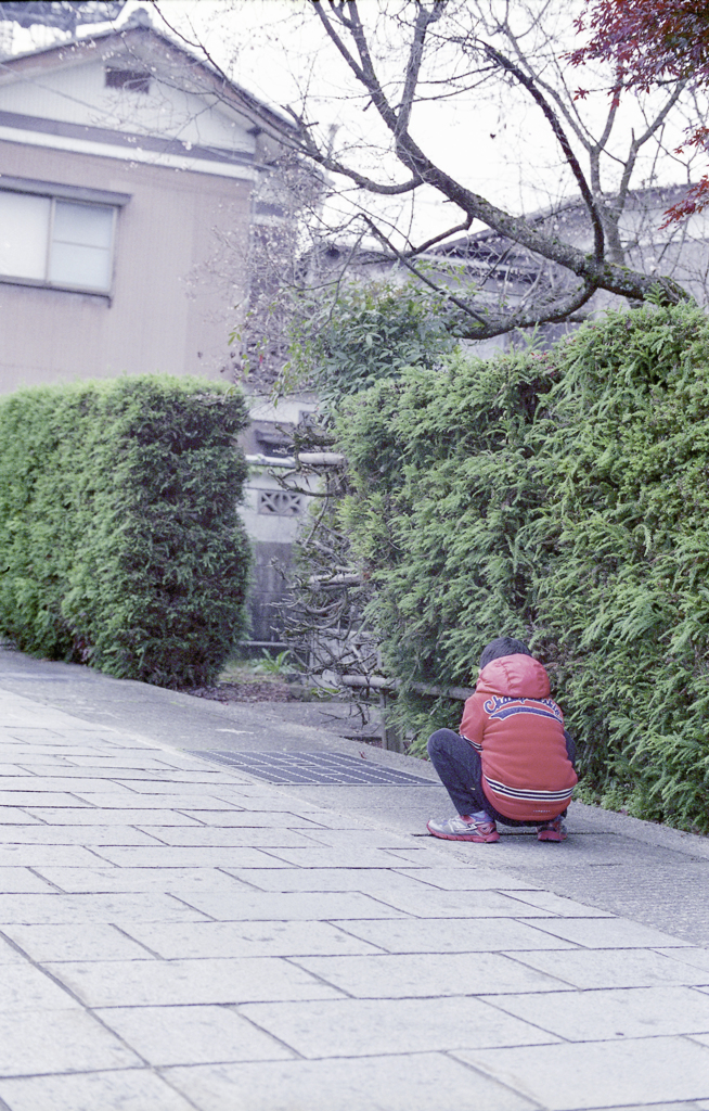 子供の世界