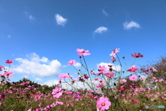 2019年11月4日17