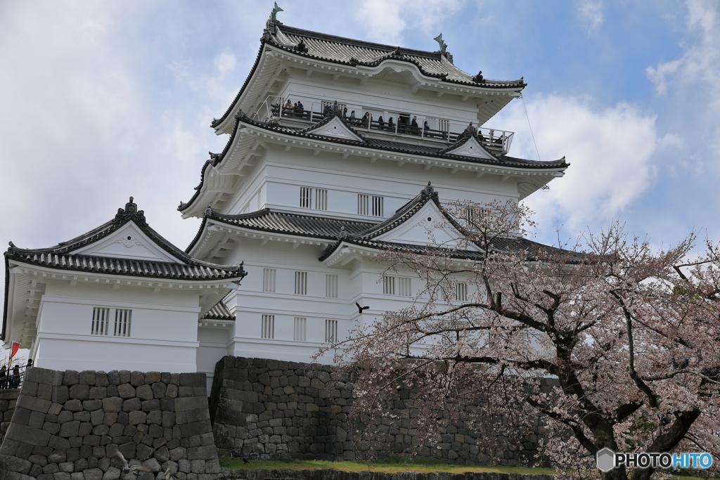 小田原城