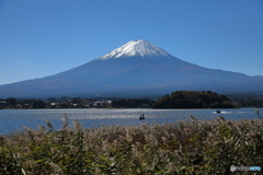 富士山と河口湖44