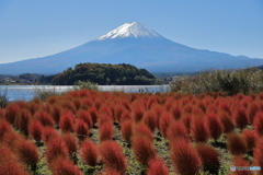 富士山と河口湖34