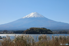 富士山と河口湖8