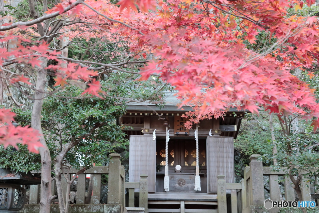 大山(神奈川県伊勢原市）37