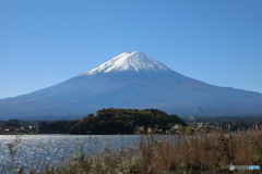 富士山と河口湖13