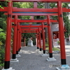 亀ケ池八幡宮④