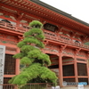 甲斐善光寺10