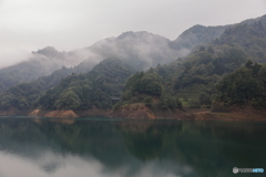 霧の宮ヶ瀬湖14