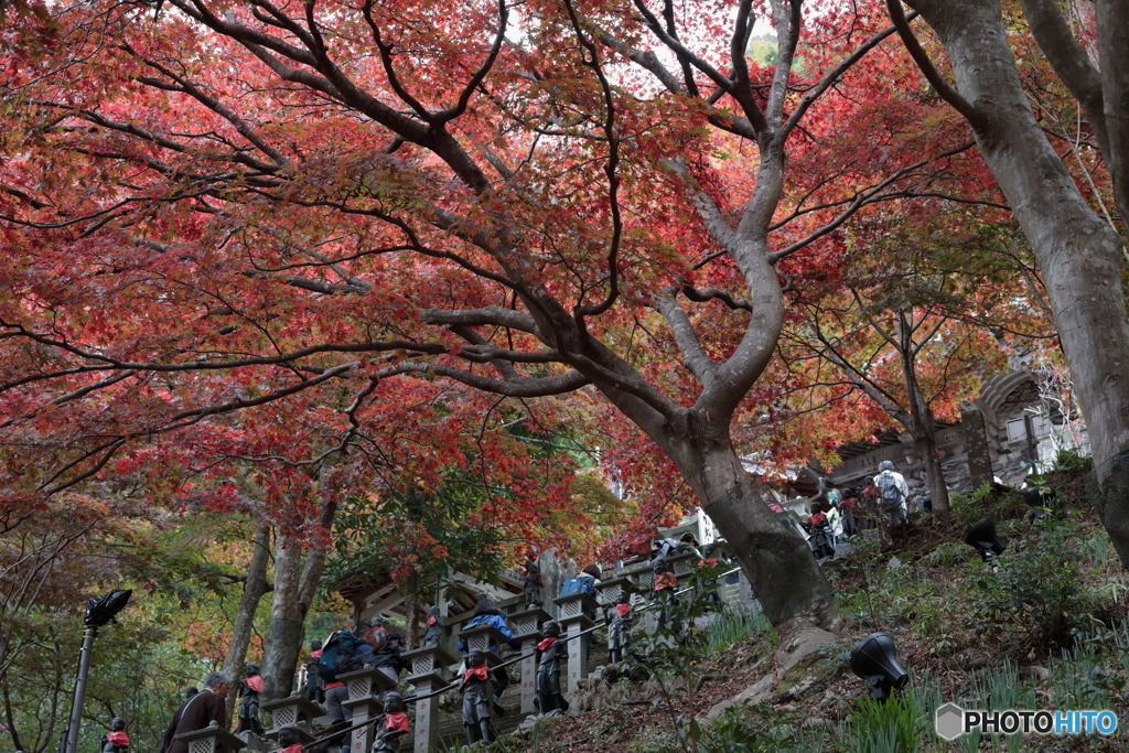 大山(神奈川県伊勢原市）6
