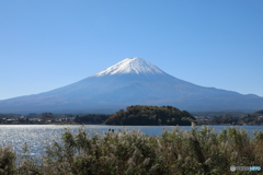 富士山と河口湖7