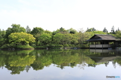 昭和記念公園⑧