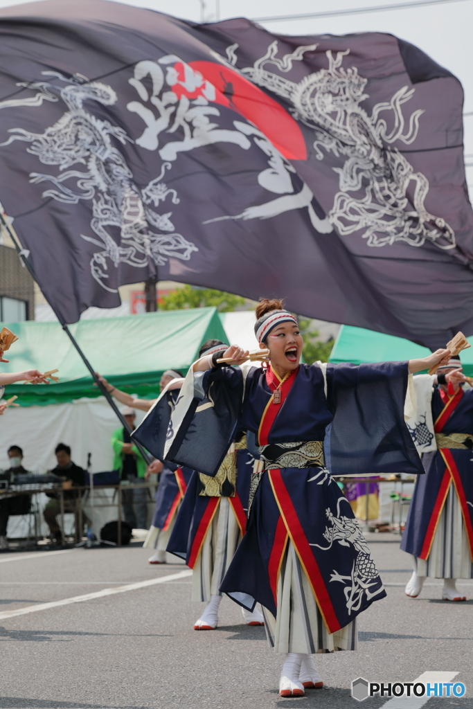よさこい508