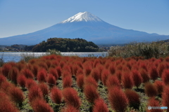 富士山と河口湖35