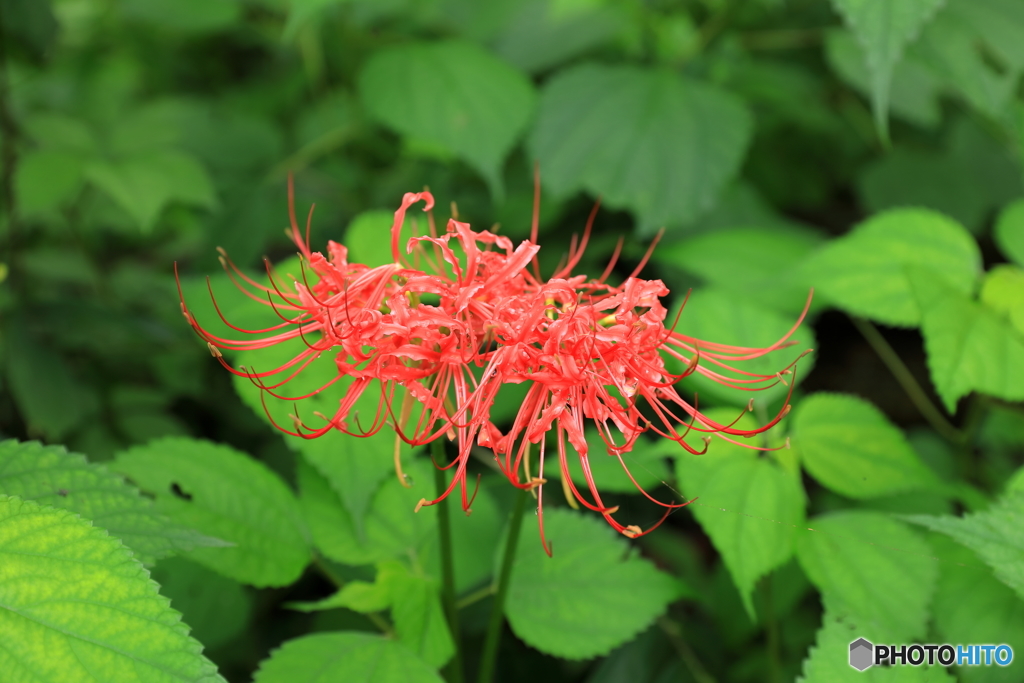 城山公園20