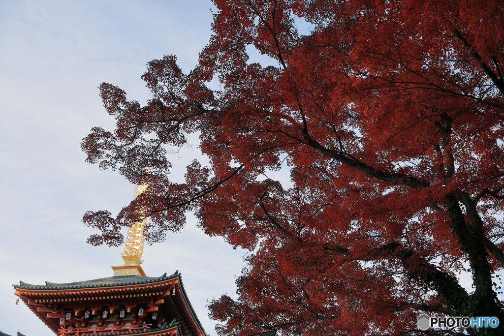 高幡不動39