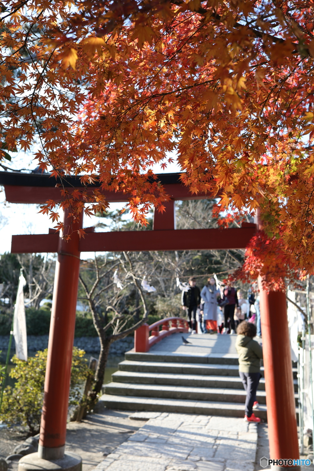 鶴岡八幡宮Ⅲ