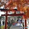 鶴岡八幡宮Ⅲ