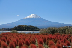 富士山と河口湖37