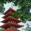高幡不動②