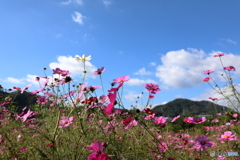 2019年11月4日24