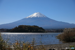 富士山と河口湖27