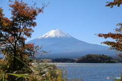 富士山と河口湖54