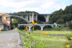 花と橋