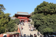 鶴岡八幡宮