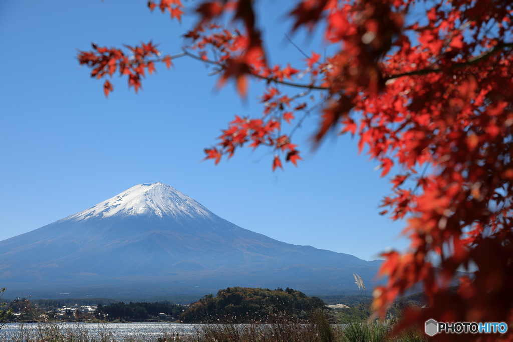 富士山と河口湖78