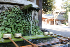 手水舎②