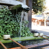 手水舎②