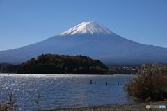 富士山と河口湖26