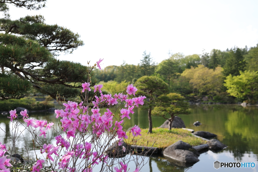 昭和記念公園⑫