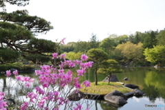 昭和記念公園⑫