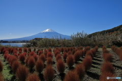 富士山と河口湖19