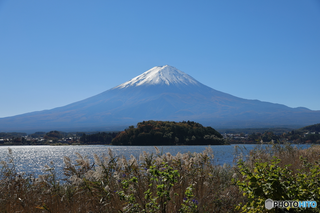 富士山と河口湖11