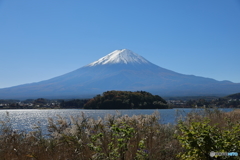 富士山と河口湖11